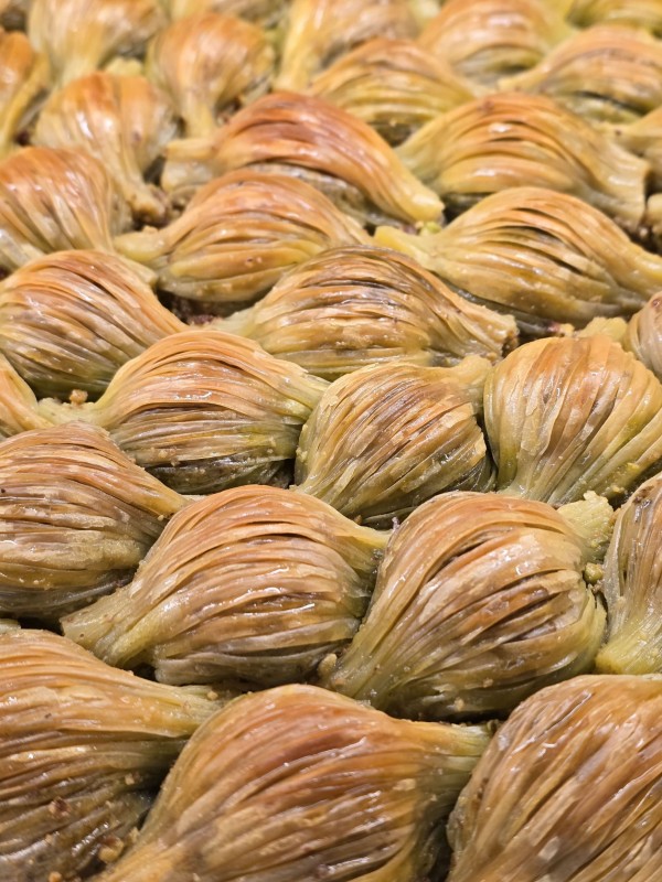 Göbeklitepe Nemrut Zeugma Turu